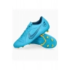 Nike Dj2903 Mavi Vapor 14 Club