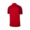 Nike Jersey Trophy Iv  Erkek Polo Yaka Tişört BV6725-657