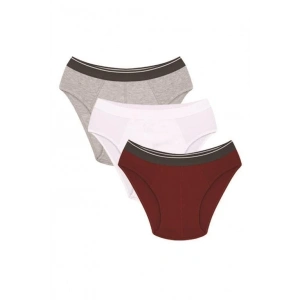 Erkek Pamuk 3lü Bordo Beyaz Gri Likralı Slip