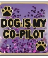 Dog Is My Co-Pilot - 35 - İtalyan Charm