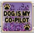 Dog Is My Co-Pilot - 35 - İtalyan Charm