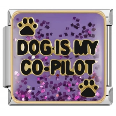 Dog Is My Co-Pilot - 35 - İtalyan Charm