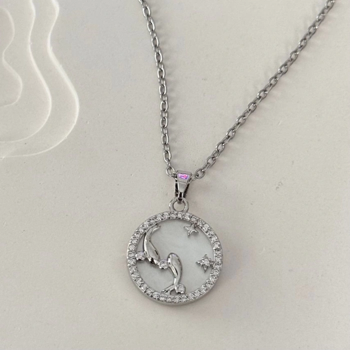 Yunus Balığı Plaka Kolye Silver