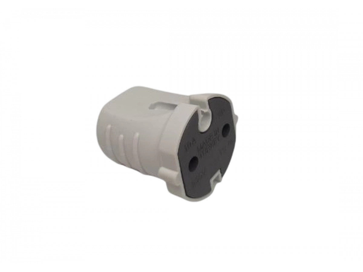 MİMOZA DİŞİ FİŞ