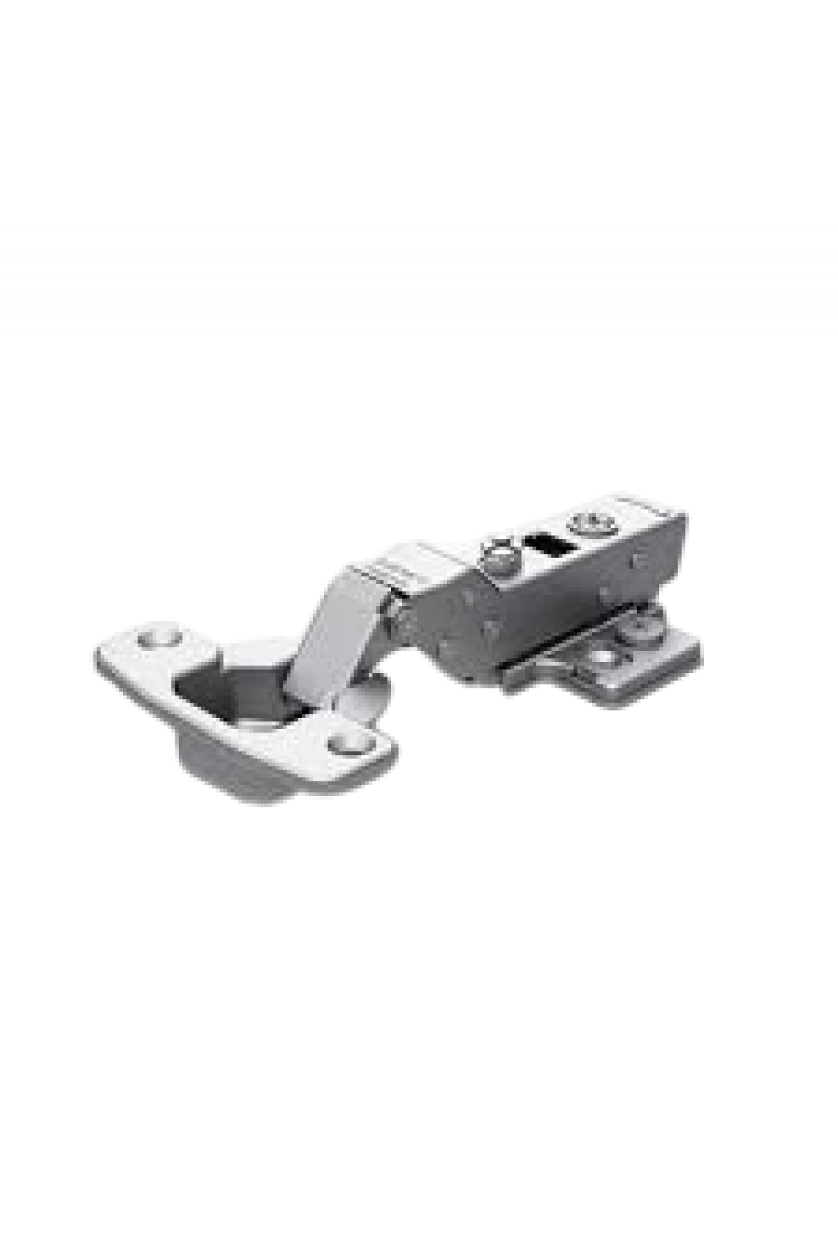 FRENLİ DEVE BOYNU MENTEŞE