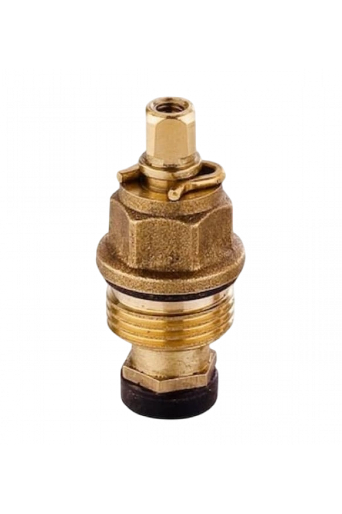 TAHARET SALMASTRASI NORMAL