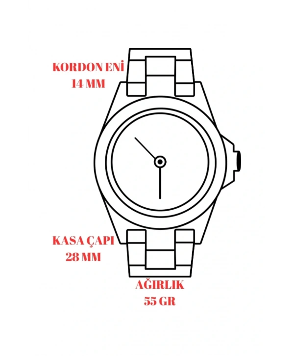 Kadın Kol Saati Rose-gümüş Renk Çelik Kordon&kasa Sddk094