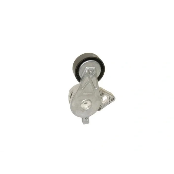 ALTERNATOR GERGI RULMANI (KUTUKLU) TRANSPORTER T5 GOLF IV BORA SHARAN 1.9 TDI (AXB-AUY-ALH)