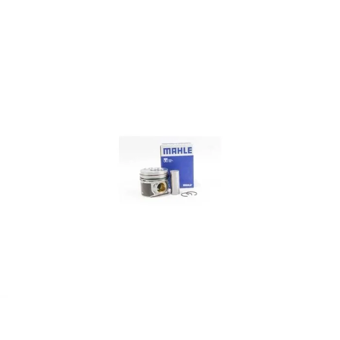 PISTON SEGMAN (81.01 MM STD ) 1.2. SILINDIR TRANSPORTER T5 130 PS (AXD-AXE)