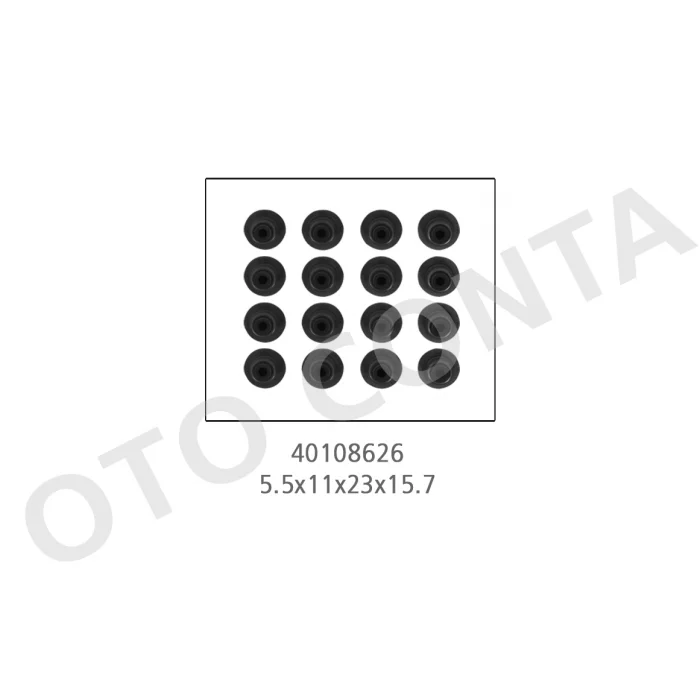 SUBAP LASTIGI (5.5.mm) CLIO II-KNG-TWINGO I 1.2 16V 01=