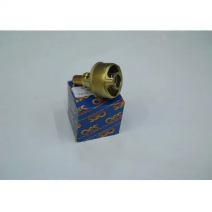 TERMOSTAT 75C R12