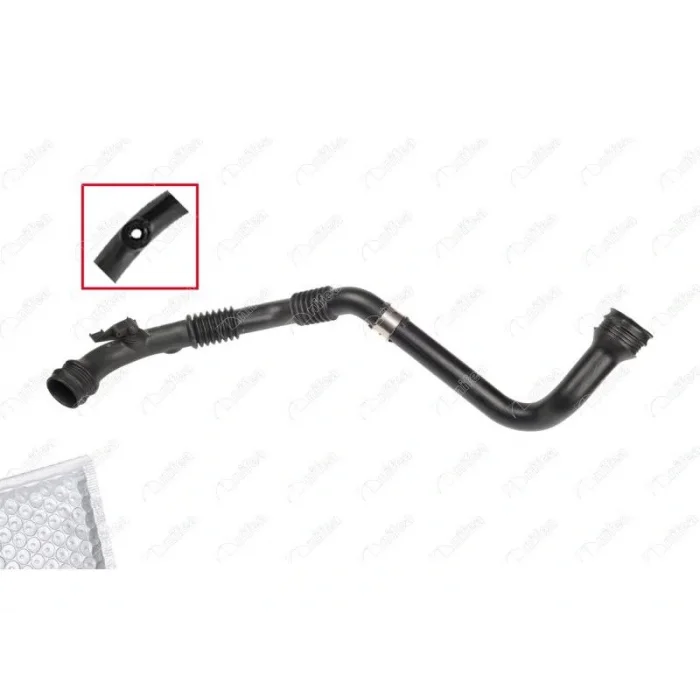 TURBO BORUSU KANGOO