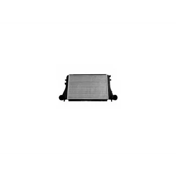 (BEHR) TURBO RADYATORU PASSAT B6 PASSAT CC B6 TIGUAN