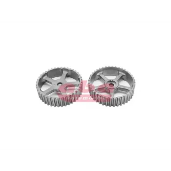 EKSANTRIK DISLISI KANGOO 1.9 F8Q F9Q