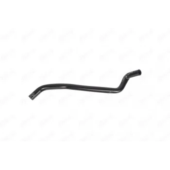 GENLESME SISE HORTUM MGN I-SCENIC-R19 1.6 8V