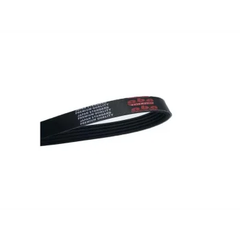 KANALLI KAYIS (KLIMALI) TEMPRA TIPO PEUGEOT CITROEN