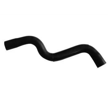 RADYATOR HORTUMU UST MEGANE I SCENIC I 95 04