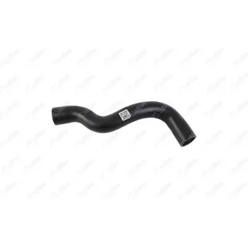 RADYATOR UST HORTUMU CLIO SYMBOL 1.4 8V K7JLB03
