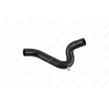 RADYATOR UST HORTUMU MGN-R19 1.6 Ie