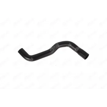 RADYATOR UST HORTUMU MGN-R19 1.8