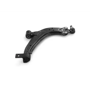 SALINCAK SAG (ROTILLI) P306