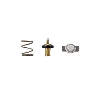 TERMOSTAT ( IC PAECA ) 83 C EURO 5 CLIO IV 2012 - MEGANE IV 2016 -KANGOO 1.5DCI