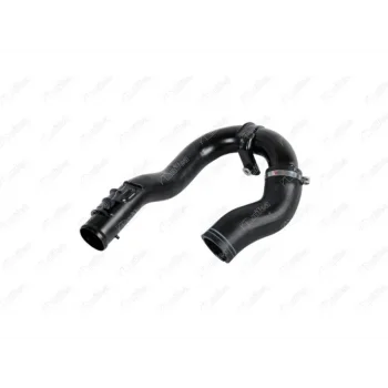 TURBO BORUSU DOBLO PRATICO 1.3 D MJ 2010>