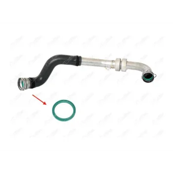 TURBO HORTUM CONTASI MEGANE III-FLUENCE 1.5 DCI