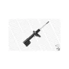 AMORTISOR ON CLIO SYMBOL 1.4 1.6 1.9 DTI 1.5 DCI 98-05