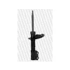 AMORTISOR ON SAG CEED HB 2006-2012 GAZLI