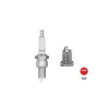 ATESLEME BUJISI (LPG) R9 R11 M131