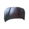 MOTOR KAPUTU FLUENCE