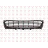 ON TAMPON ORTA IZGARA FLUENCE FAZ II 2013 >