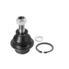 ROTIL ALT CONNECT >TRANSIT V184>V347>CUSTOM
