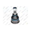 ROTIL ALT LAGUNA I 1993 2001 SAFRANE 1992 2000