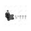 ROTIL ALT P208 2012=>