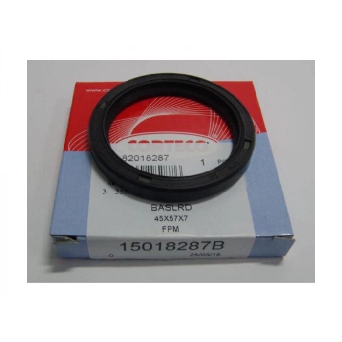 EKSANTRİK KECESI ARKA N7Q LAGUNA