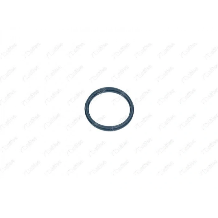 EMME MANIFOLD CONTASI DUCATO 2.2 D MONDEO III JUMPER TRANSIT BOXER