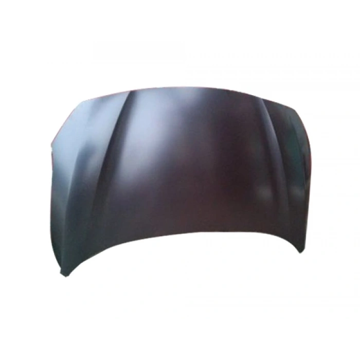 MOTOR KAPUTU FLUENCE