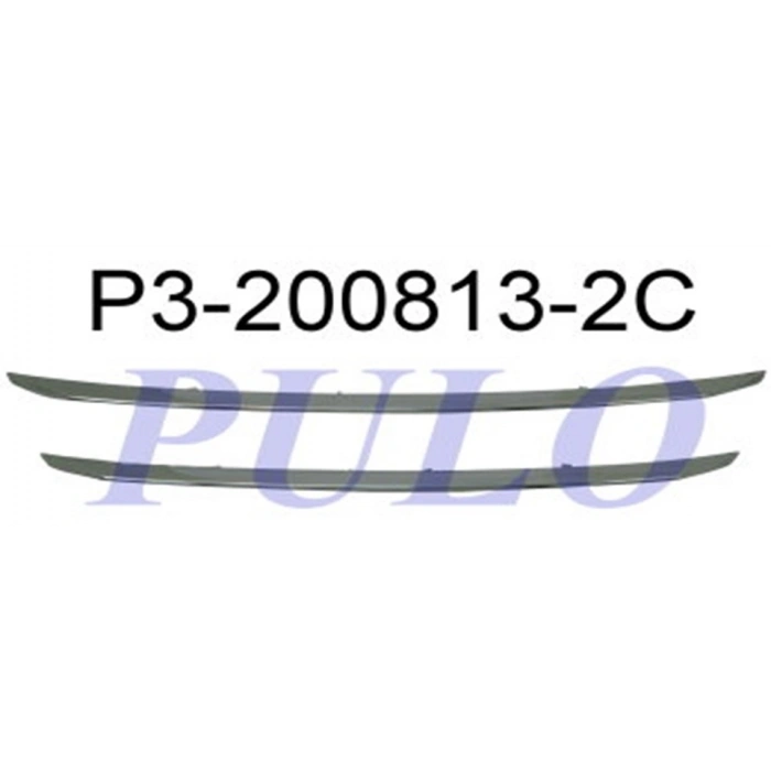 ON PANJUR NIKELAJI P2008 2013>