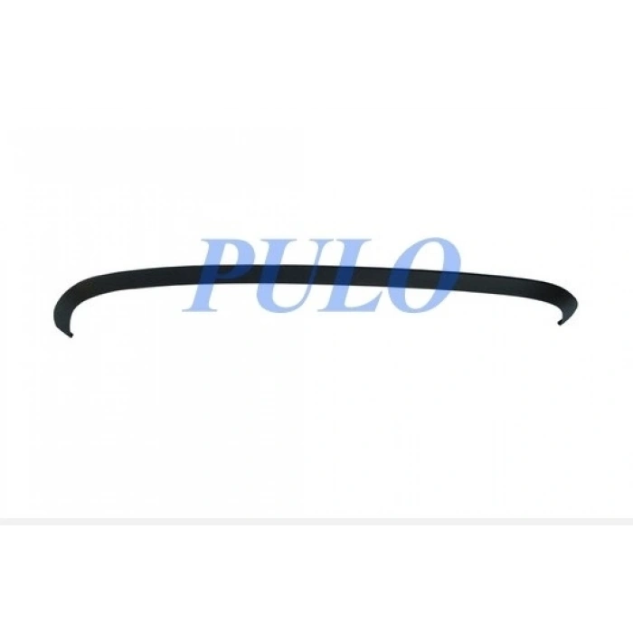 ON TAMPON SPOILERI SCENIC 2009-