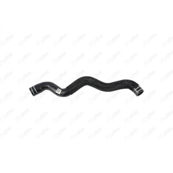 RADYATOR HORTUMU EGEA 1.4 16=>