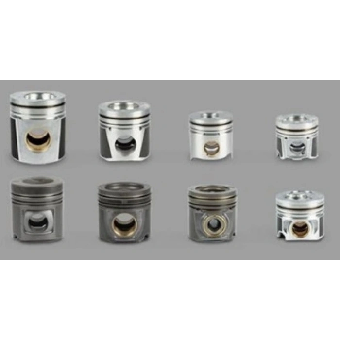 SEGMAN 1.00 KANGO 1.5 DCI K9K 76 MM