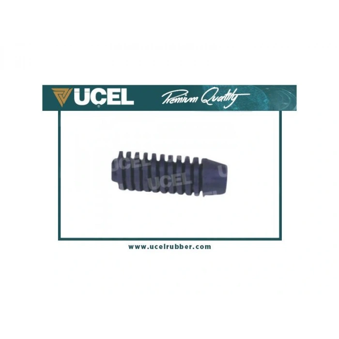 VIDALI KAPUT LASTIGI DKS