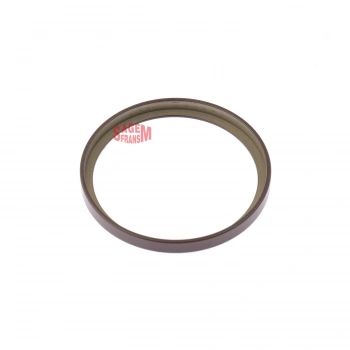 ABS OKUYUCU HALKA ARKA DISK MEGANE IV