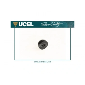 AMORTISOR LASTIGI ALT R12