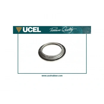 AMORTISOR RULMANI ON  LAGUNA II MASTER III