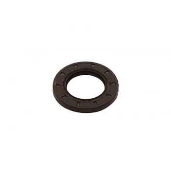 EKSANTRIK KECESI CLIO MEGANE LAGUNA 2.0 16V