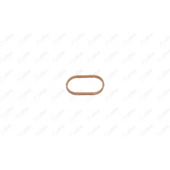 EMME MANIFOLD CONTASI MEGANE CLIO LAGUNA LOGAN 1.4