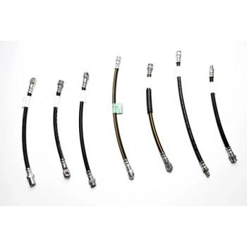 FREN HORTUMU ON SERÇE